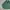 Flight Jacket The Marquis Vintage Green Bottle Colour photo 4