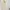 Cream Flowy Overlay Chiffon Dress photo 3