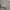 BNWT ESSENTIALS FOG SWEATER photo 4