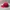 Topi The North Face Outdoor Unstructured Cap Adjustable Snap photo 3