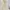 Soft Cream Embroidery Lace & Ribbon Trim Sparkly Dress photo 5