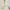 Soft Cream Embroidery Lace & Ribbon Trim Sparkly Dress photo 4