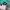 Vintage Hat Pria green photo 4