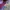 Vintage Hat Pria burgundy navy photo 4