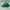 Topi NBA Boston Celtics Green Unstructured Cap Adjustable Se photo 3