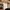 Dickies Carpenter Duck Canvas photo 3