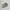 Nike zoomx photo 3