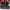 Monoflow Quilted Liner Jacket photo 1