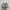 Nike v2k photo 4