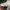 Razer BlackShark V2 Hyperspeed Ultra-Light Wireless Gaming H photo 6