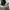 Razer BlackShark V2 Hyperspeed Ultra-Light Wireless Gaming H photo 3