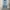 Uniqlo jeans tapered regular pants photo 1