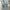 Uniqlo jeans tapered regular pants photo 5