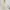 Whimsy Cream Floral Midi Chiffon Dress | Brand Me Sense photo 3