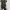  Zara Green Swiss Dot Embroidered Peplum Blouse photo 1