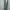 ZARA Streetwear Coquette Summer Dress Wanita Green