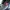Cyberpunk skater emo gall girl acubi gothic grungecore fairy photo 6