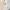 White Lace Backless Maxi Dress | Brand Abercrombie & Fitch N photo 1