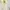 White Lace Backless Maxi Dress | Brand Abercrombie & Fitch N photo 3