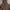 PULL OVER HOODIE OBEY SHERPA LUAR photo 1