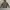 PULL OVER HOODIE OBEY SHERPA LUAR photo 2