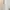 White Babydoll A-Line Ribbon Dress | Brand Nice Claup