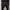 Skinny jeans MAX original  photo 1