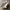 Birkenstock Florida  photo 2