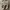 Birkenstock Florida  photo 1