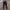 Adidas Casual Sportswear Sweatpants & Joggers Pria black photo 1