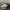 Converse Chuck Taylor Quad Axial Classic photo 1