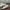 Converse Chuck Taylor Quad Axial Classic photo 4