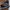 Converse Chuck Taylor Quad Axial Classic photo 5