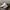 Converse Chuck Taylor Quad Axial Classic photo 2