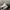 Converse Chuck Taylor Quad Axial Classic