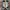 Converse Chuck Taylor Quad Axial Classic photo 3
