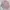 Zara Frilled Top in Pink Princess Letizia   photo 6