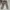 Bounty Hunter Streetwear Biker Casual pants Pria tan photo 3