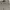 Bounty Hunter Streetwear Biker Casual pants Pria tan photo 6