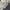 National geographic utility blasto photo 5