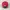 Snapback SK Wyverns Baseball Team C&J International  photo 3