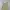 floral ruffle set photo 6