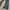 APC Selvedge denim jeans pants celana photo 3