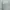 Loro Piana Luxury Minimalist Blouse Wanita Green