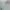 Loro Piana Luxury Minimalist Blouse Wanita green photo 5
