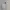 CLAIRE X HELLO KITTY Knit Sweater White Oversized photo 1
