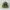 Topi Snapback Army Camo NY Brooklyn photo 1