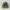 Topi Snapback Army Camo NY Brooklyn