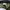 Topi Snapback Army Camo NY Brooklyn photo 5