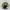 Topi Snapback Army Camo NY Brooklyn photo 3